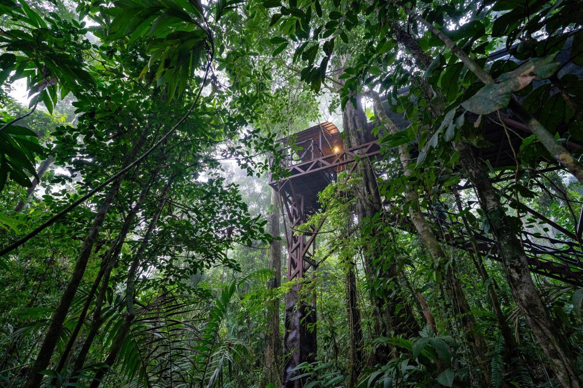 Maquenque Ecolodge Boca Tapada Esterno foto