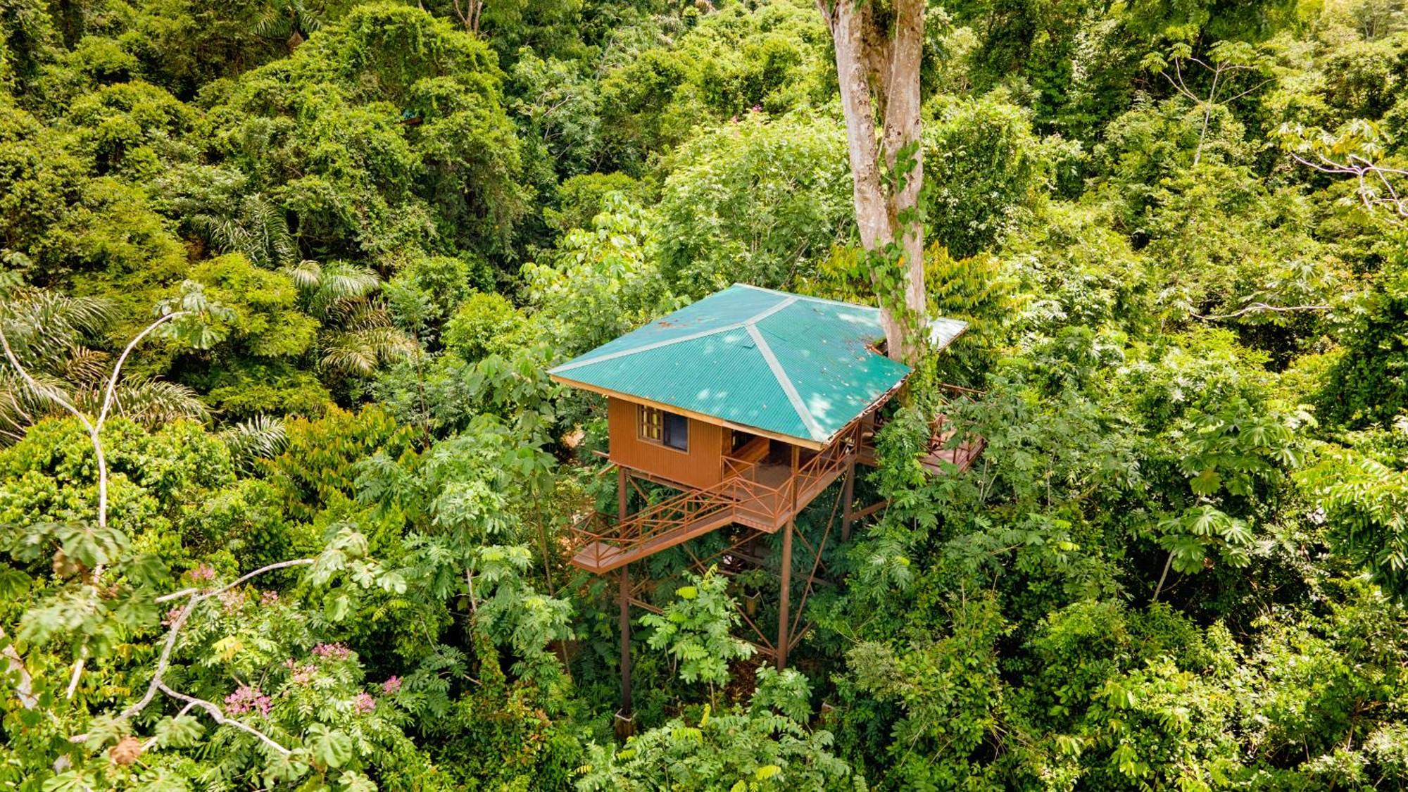 Maquenque Ecolodge Boca Tapada Esterno foto