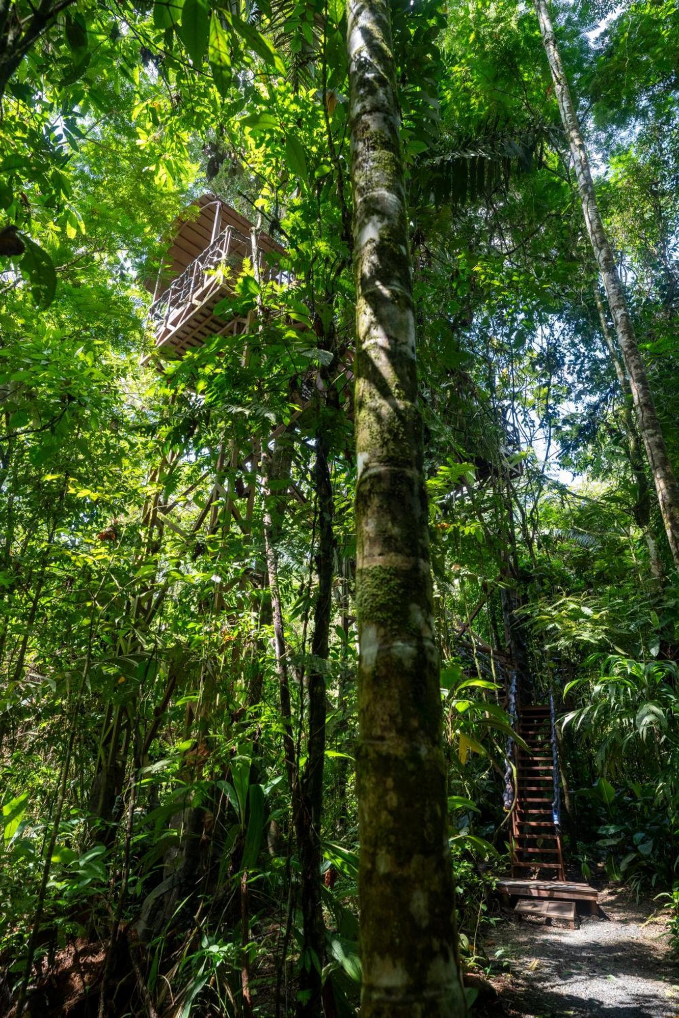 Maquenque Ecolodge Boca Tapada Esterno foto